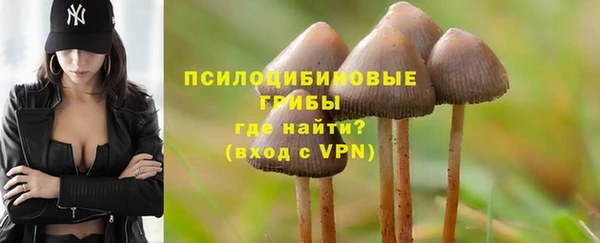 метадон Арсеньев