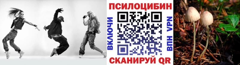 где купить наркоту Артёмовск OMG вход Галлюциногенные грибы Psilocybe